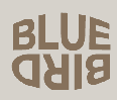 Blue Bird 